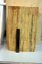 spalted maple 004.webp