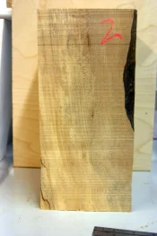 spalted maple 005.webp