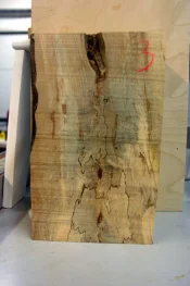 spalted maple 006.webp