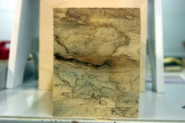 spalted maple 008.webp