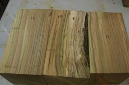 redbud 1 (4).webp
