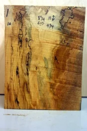 second spalted maple 001.webp