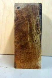second spalted maple 002.webp