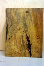 second spalted maple 003.webp