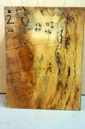 second spalted maple 007.webp
