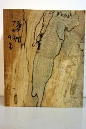 spalted poplar 001.webp