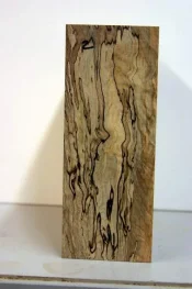 spalted poplar 002.webp