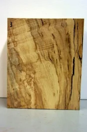 spalted poplar 003.webp