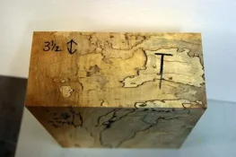 spalted poplar 005.webp