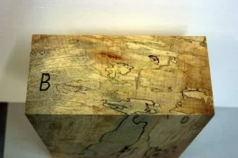spalted poplar 006.webp