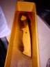 DSC00878.jpg