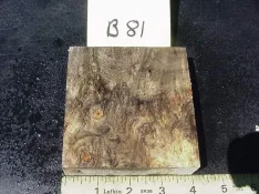 b81b[1].webp