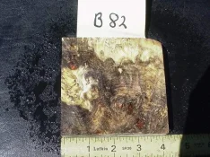 b82c[1].webp