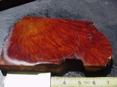 mz179b[1].webp