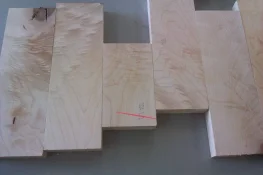 IMAG0088.webp