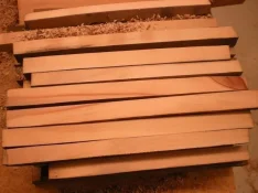 DSCN0756.webp