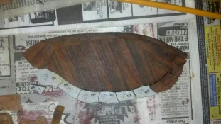 Turtle in process.webp