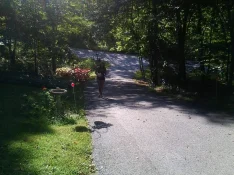image.webp