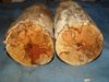 SpaltedLogs.jpg