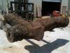 oak burl 2.JPG