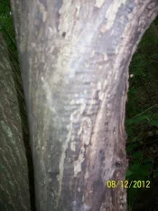 805502830d0bbd0b1344811216.webp
