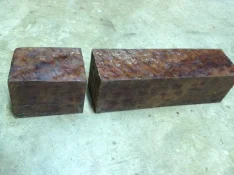 Camphor 3 007.webp