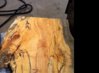 Spalted maple HB.JPG