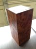 Camphor Burl August 18 002.JPG