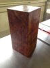 Camphor Burl August 18 003.JPG