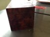 Camphor Burl August 18 006.JPG