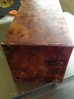 Camphor Burl August 18 007.JPG