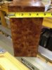 Camphor Burl August 18 010.JPG