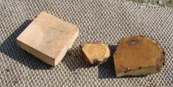 Burls2.webp