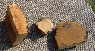 Burls4.webp