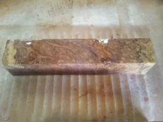 20120827_151657.webp