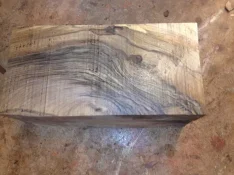 IMG_0173.webp