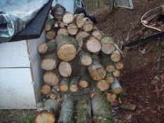 100_0602-2.webp