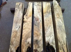 spalted holly root and stump 04.webp