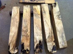 spalted holly root and stump 03.webp