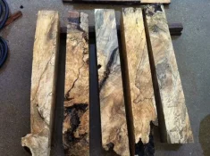 spalted holly root and stump 02.webp