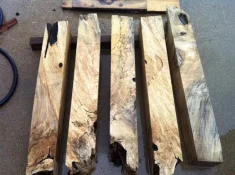 spalted holly root and stump 01.webp
