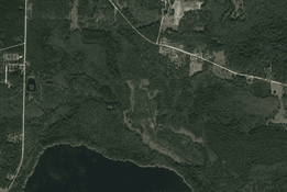 treefarm1.png