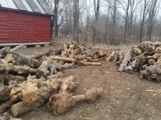 20150402_083630.webp