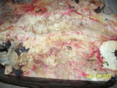 000_1941.webp
