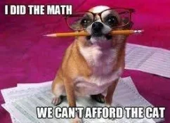 math4dummies7.webp