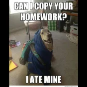 math4dummies8.webp