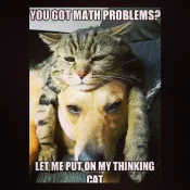 math4dummies10.webp