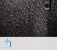 image.webp