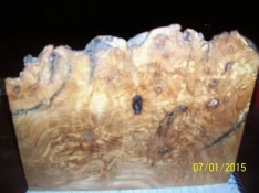 000_2507.webp