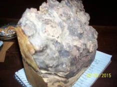 000_2508.webp
